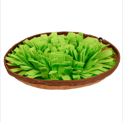Snuffle Mat & Slow-Feed Bowl Set