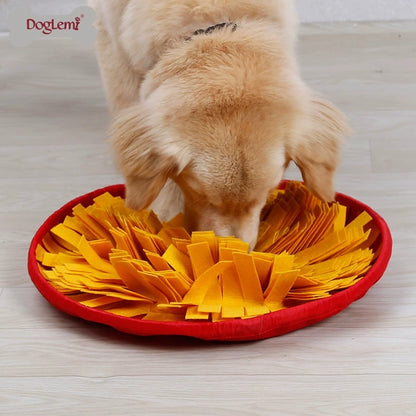 Snuffle Mat & Slow-Feed Bowl Set