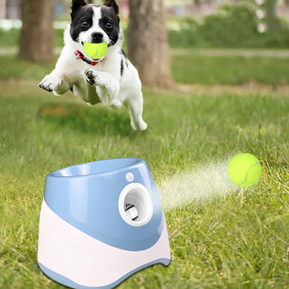 Automatic Tennis Ball Launcher for Dogs