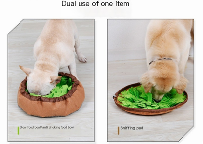 Snuffle Mat & Slow-Feed Bowl Set