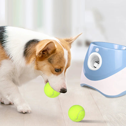 Automatic Tennis Ball Launcher for Dogs