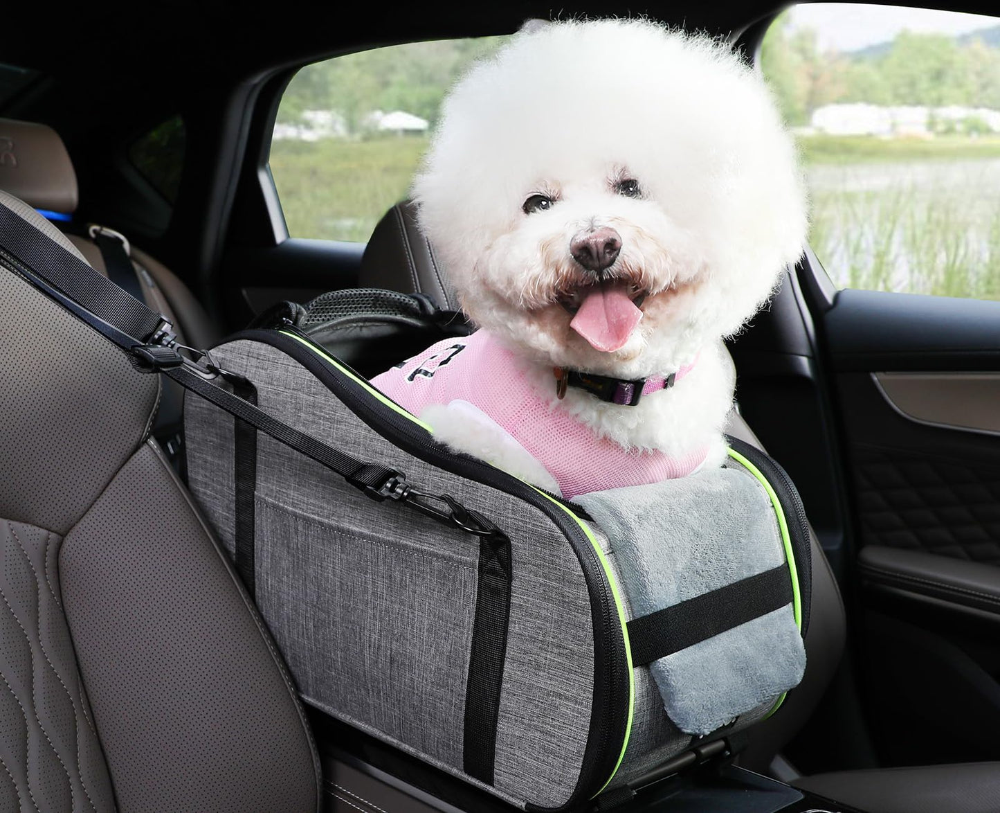 Console Dog Car Seat & Booster